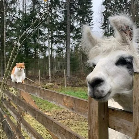 Pihasauna Moekki - Alpaca Laamatila Alpesi faház *